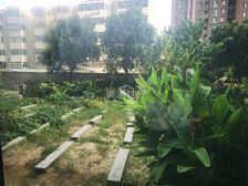 陵园!二中.一楼带80平院子!随时能看房,有钥匙!