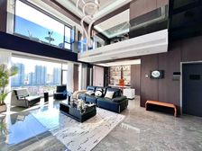 彼岸生活 望江豪宅 电梯跃层 四室三卫 送地下车位