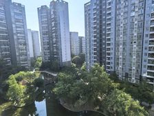 单价仅三千多买凯旋城花园中间大五房南北通透,全新毛坯随时看房