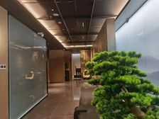 出租高档江景5A级办公楼 331平方 415平方 734平方