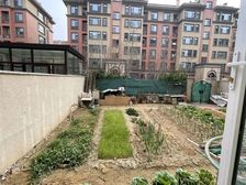 好房一二楼复式带院 带负一 喜欢一二楼复式带院的客户 联系我