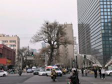 朝阳医院好位置临街一层370平可分割招连锁餐饮展厅高档酒行