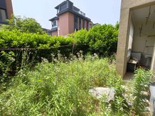 海上湾鹭居 电梯洋房 一楼带花园!