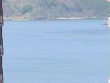 香海小镇清水0首付还能多贷8w不用你拿钱我还给您送钱环境好