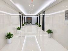 豪华大楼!全新装修带全套家具85平精装出租!