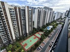 碧桂园二期低价43.8万送车位一个超经典户型南北通透随时过户