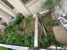 香海连天78平通厅全明户型带南北阳台带花园近市场公交商业街