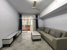 九中学区,衡板小区,两室,一楼老证37.8万有钥匙看房方便可