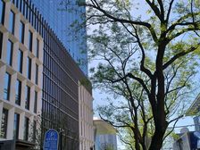 建国门好位置人流量大可外摆招西餐中餐海鲜火锅旗舰店