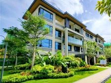 来电捡漏 !长寿之乡别墅,70年精装现房 外地可购 拎包入住