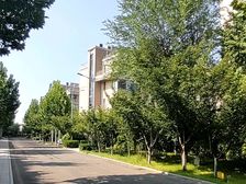 捡漏河畔别墅!层高3.5米 带院子私家电梯入户 带车库有钥匙