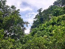 稀缺山景房,龙隐+桂林一中公园绿涛湾,七星区三里店桂林润园旁