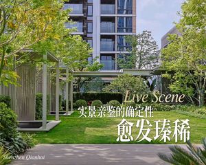 前海核心228平大平层豪华4房,单价5万多起,不要错过