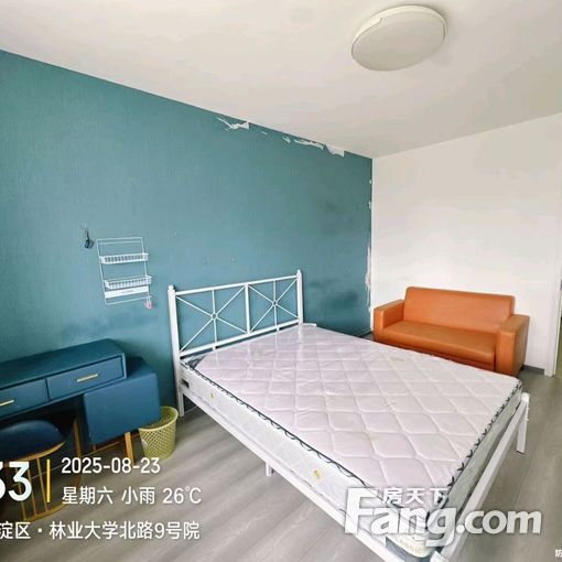 五道口 学院路 林业大学附近 林大北路9号院 一居出租
