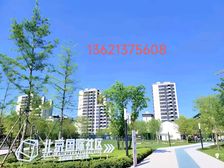 朝阳东城建+金茂开发,顺义正规一居 精装现房,入住率80%