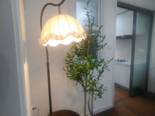 朱方路三茅宫,二楼,品质精装装修,两室南,三茅宫初中书包