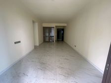碧桂园最平一套,全新装修无入住过,空气质量好,