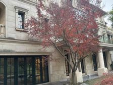 豪装大独栋 壕怎么来的 不看会后悔