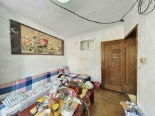 堤口路 家禽研究所宿舍 独立大院 双气 三室一厅 低楼层