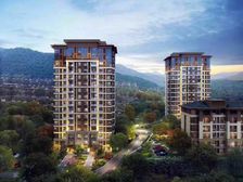 山景房 户型好环境好 超低价格 名额有限