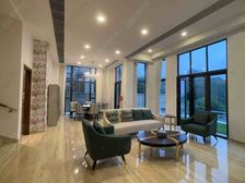 独立海景花园私家泳池洋房,邻近电视城,靓裝