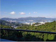 全新,免佣!传统豪宅地段,九肚山,名人聚居地!