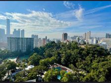 传统地段。名人聚居地,罕有特色,平台和天台,尖子校网34区