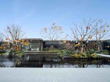 越秀曦悦府怡心湖保利和颂龙湖九里锦颂