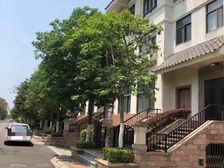 中海龙虎滩黄 金海岸联排别墅3层送花园露台地下室车库急售各付
