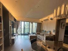 999年产权,尖子校网11区,邻近国际金融中心,专车接送