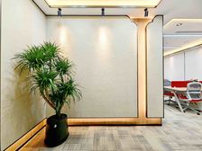 特价房精装修158平出租全含