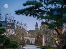 虎丘塔 花园300平 530平合院一手流程无税 位置好 急卖