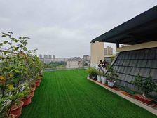 越昕晖精装洋房顶跃双卫四房带150平米屋顶花园