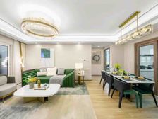 园区东 精装修一手洋房 实体现房 无住过人 与周边别墅区