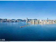 全新,1手现楼!维港海景,邻近啟徳体育园,尖子校网34区!