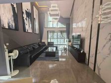 莱茵苑复式电梯房 豪华装修 拎包入住 梅岭双 景观古运河