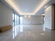 河西江心洲叠墅带大院子精装4房