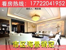 抄底16000一平!市区【天宸】253平海景大平层看日月贝!