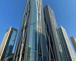 D家房源 湘江财富中心308平目前带租约 可投资可自用