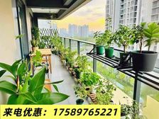 急售1 3 0 !精装现房,可按揭贷款,大学城旁居住舒适!