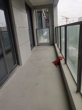 正南 中国铁建青秀澜湾 4室2厅