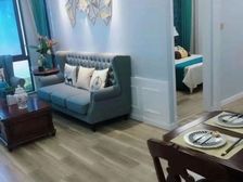 美术广场中南正荣海上明悦800米轻轨上海 房