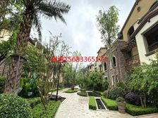 礼嘉龙湖别墅端户!花园100多平!九曲河轻轨旁