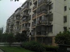 浦发绿城 54平1居 南北向精装修 随时签约