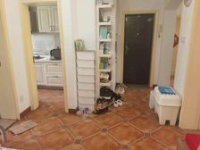 胜丰社区60弄2室2厅1卫南朝向120.0万元/套出售