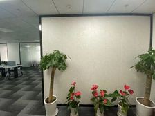 出租市区核心 云蝠 东方广场 50至500平新出多套房源