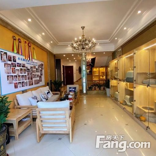 »ªÄϱ̹ðÔ°´äÔÆÉ½±ðÊû 5ÊÒ4ÎÀ2Ìü 250ƽ12000Ôª/ÔÂ