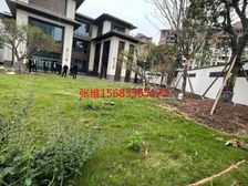 1020万买 金科九曲河大合院别墅 花园400平 公园围绕