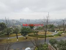 渝北鸳鸯 临崖看高尔夫景观联排别墅 出门轻轨站 商业街