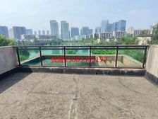 照母山 一线看湖 大类独栋 带屋顶花园 近轻轨 光环商圈